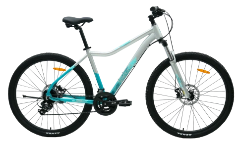 Велосипед Tech Team Delta 29"х19 серебряный фото 1